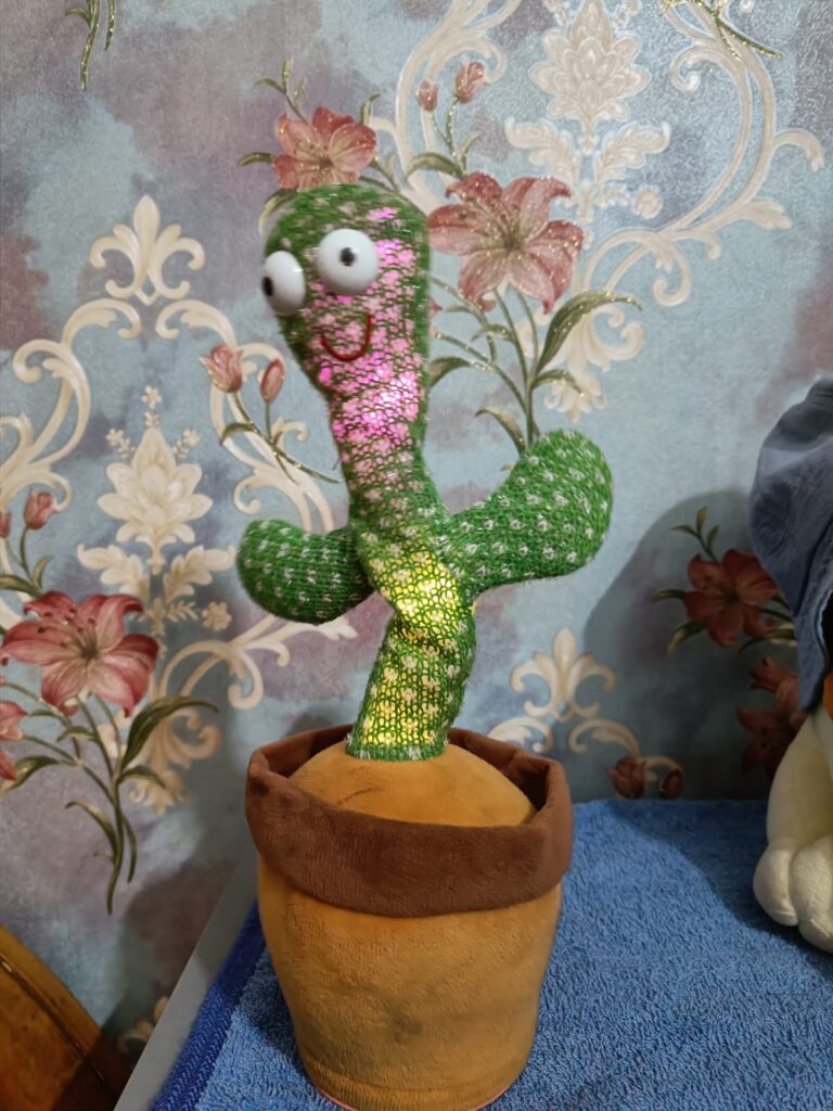 Cactus Talking Toy